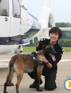 《特警力量》萌犬当道 警犬猎奇走红