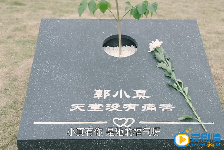 我是你的百搭二娘的初恋情人是谁?二娘为什么总是神神秘秘?