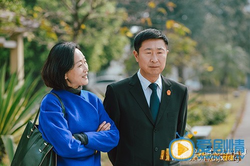 小镇大法官剧照
