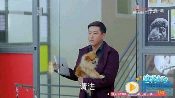 神犬小七植入广告大盘点