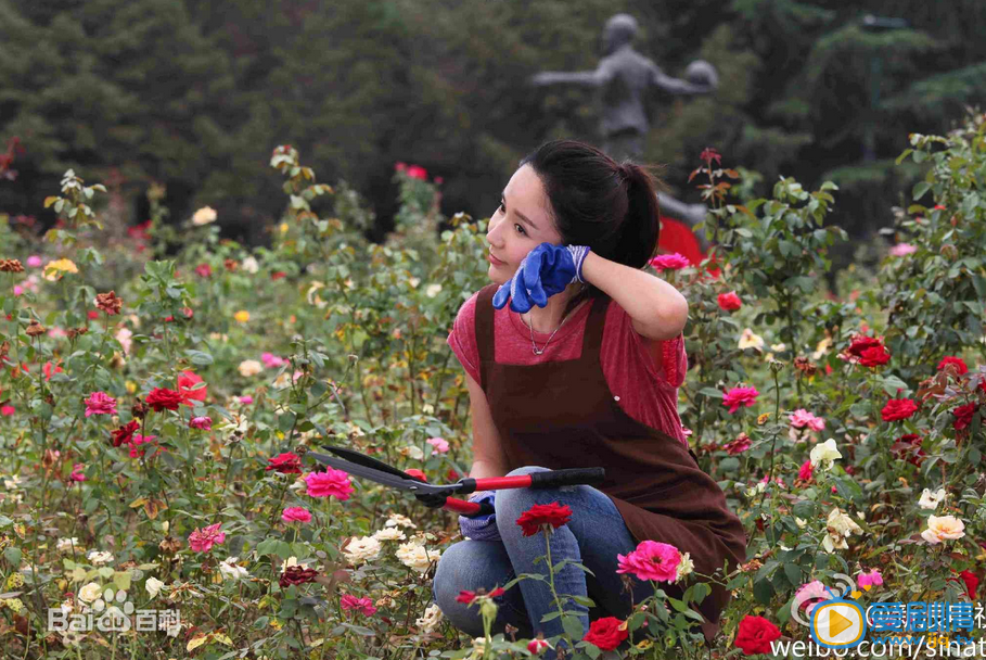 你是我的姐妹是谁是伤害杨佳的真正凶手?