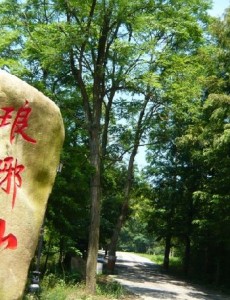 梅长苏为什么是琅琊榜榜首 琅琊榜根据什么命名的 琅琊山的来历及背后的故事