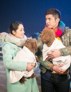 神犬小七植入广告大盘点（史上最全）神犬小七你所不知道的植入广告大汇总