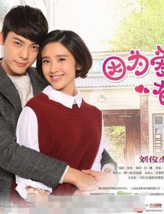 因为爱情有幸福二婶竟然是当初弄丢牛牛的罪魁祸首？因为爱情有幸福牛牛失踪背后藏着什么样的阴谋？
