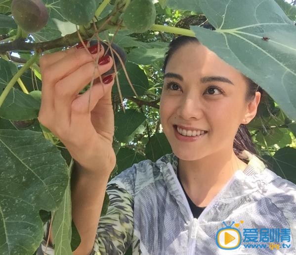 刘海戏金蟾莫彤扮演者廖碧儿写真及生活照欣赏