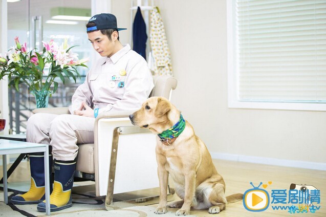 神犬小七中小七真的能够预测癌症吗？神犬小七预测癌症是真的吗？