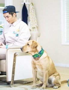 神犬小七中小七真的能够预测癌症吗？神犬小七预测癌症是真的吗？