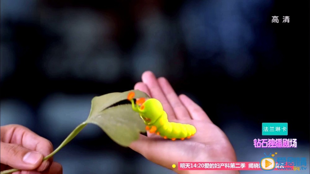 糖宝是谁？糖宝怎么来的？糖宝出世大揭密！