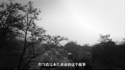 于无声处剧照