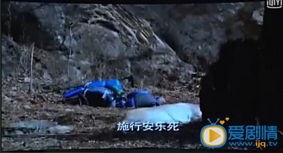 神犬小七大结局是什么？小七结局如何？小七最后死了吗？