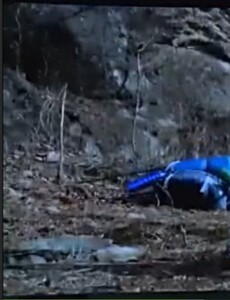 神犬小七大结局是什么？小七结局如何？小七最后死了吗？