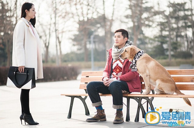神犬小七中小七真的属于神犬家族吗？神犬小七中神犬家族介绍