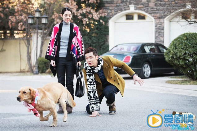 神犬小七中小七真的属于神犬家族吗？神犬小七中神犬家族介绍