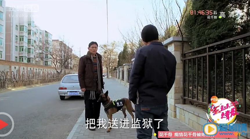 神犬小七霹雳是怎么死的？神犬小七霹雳死亡原因揭秘