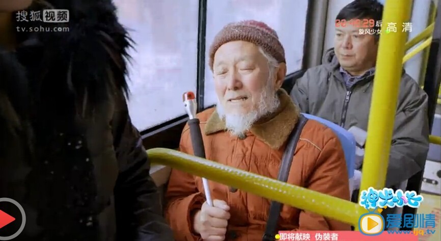 神犬小七指南针是什么品种的犬？指南针真的死了吗？