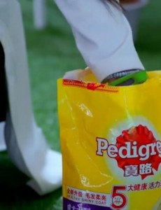 神犬小七中小七吃的什么狗粮？神犬小七中宝路狗粮怎么样？宝路狗粮对狗有坏处吗？