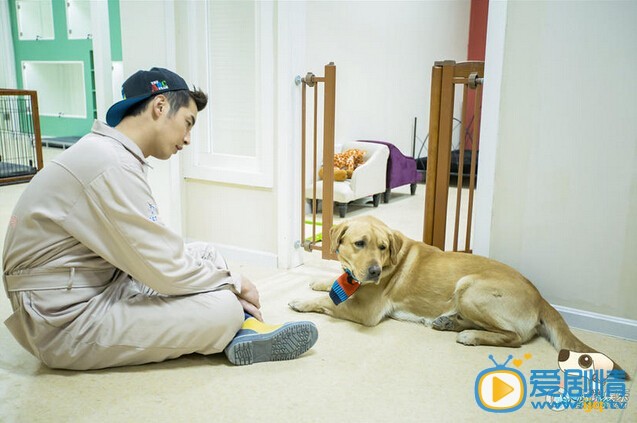 《神犬小七》吕一丹为何跟贾长安离婚？两人结局如何？