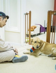 神犬小七吕一丹为何跟贾长安离婚？两人结局如何？神犬小七吕一丹最后跟谁在一起了？