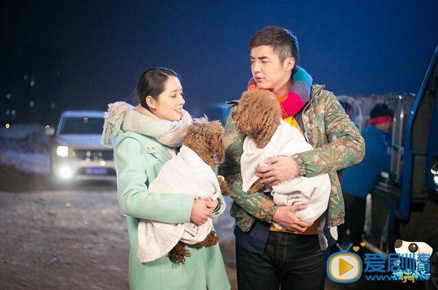 神犬小七郭碧婷薄荷绿色大衣