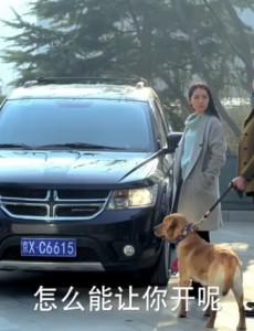 神犬小七丁涵开的什么车？丁涵开的车价格是多少？