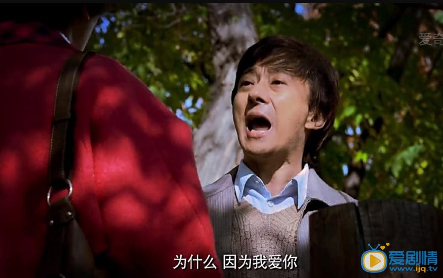 于无声处剧照