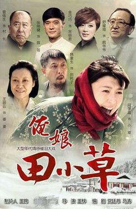 俺娘田小草海报