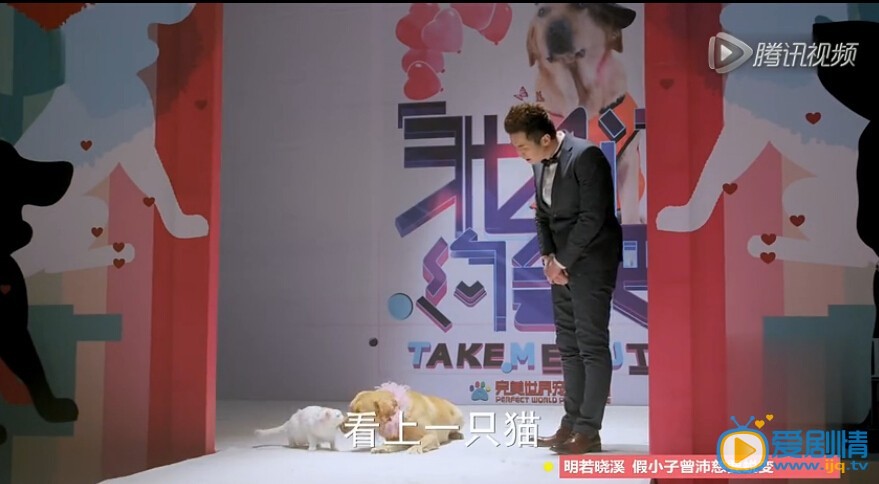 神犬小七里第几集给小七相亲？艾亮给小七相亲成功了吗？