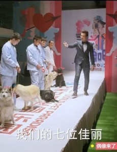 神犬小七里第几集给小七相亲？艾亮给小七相亲成功了吗？