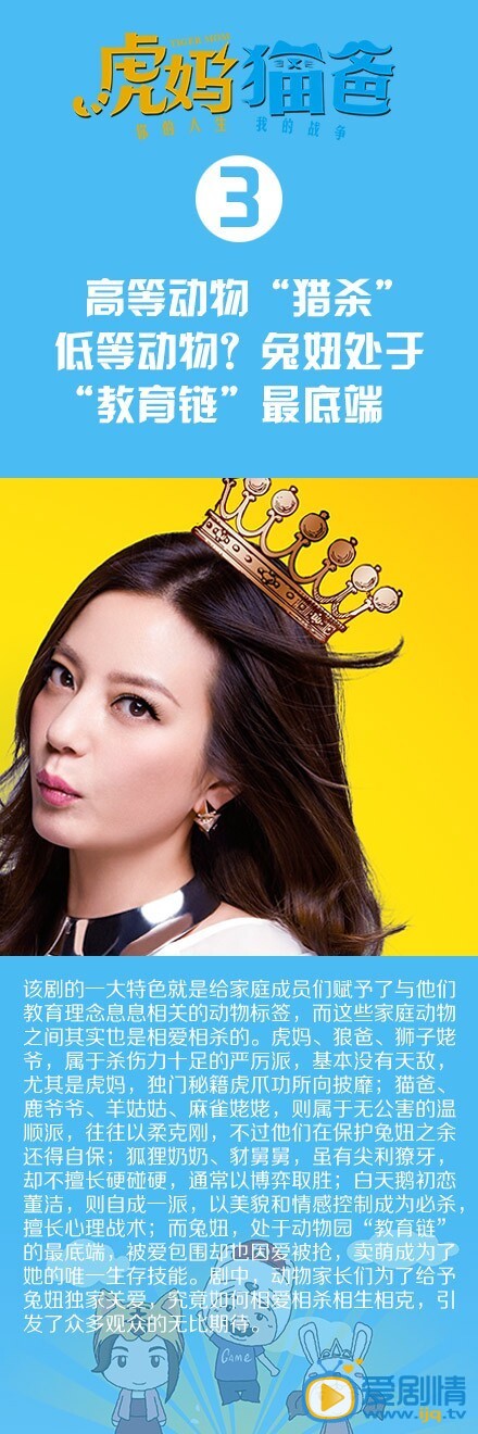 《虎妈猫爸》聚焦子女教育 精彩看点图解