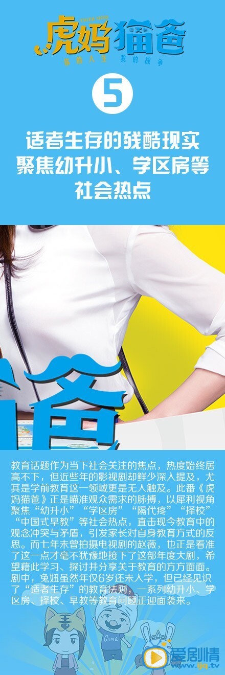 《虎妈猫爸》聚焦子女教育 精彩看点图解