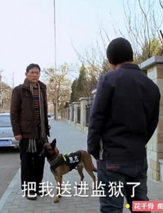 神犬小七中的霹雳是什么品种的犬？