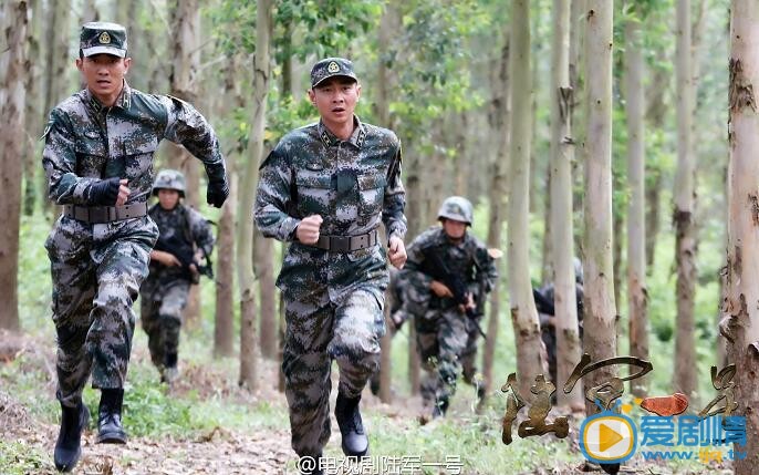 陆军一号姜海训练时米-117直升机坠毁的原因是什么?是因为姜海的地空一体化训练方案的设计有问题吗?