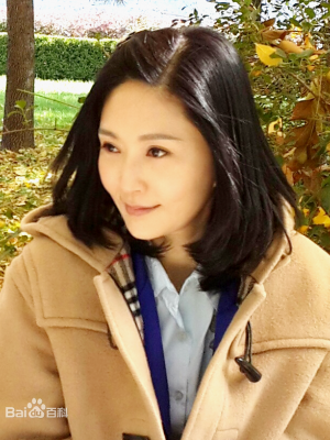 张玉嬿