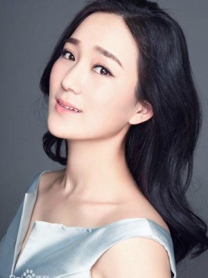 龙梅子