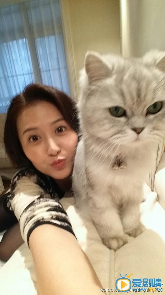 杨婷婷卖萌照
 杨婷婷高清写真_杨婷婷高清剧照