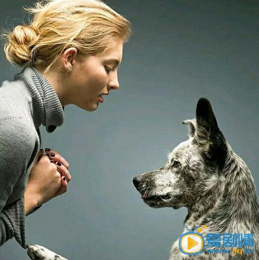 薇洛西尔德斯写真
 薇洛西尔德斯高清写真_薇洛西尔德斯高清剧照