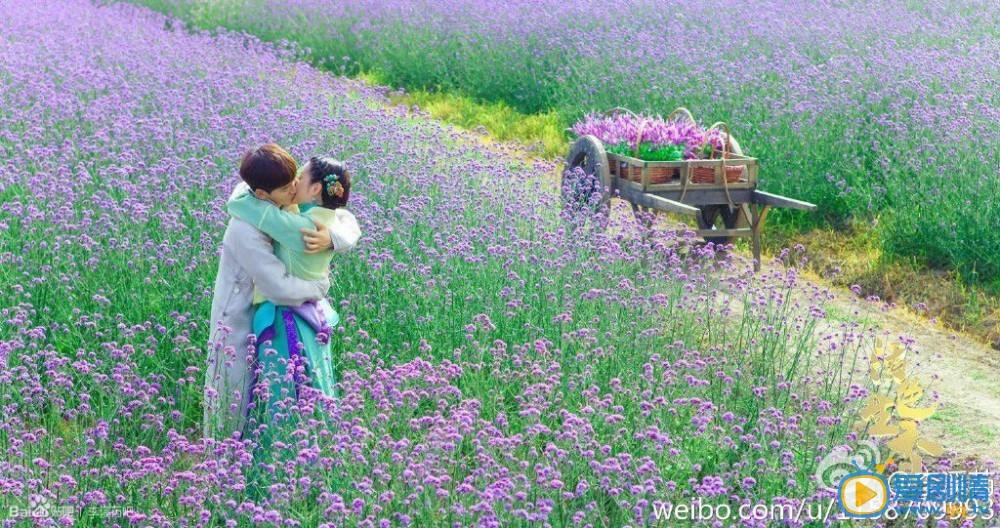 李溪芮《活色生香》剧照
 李溪芮高清写真_李溪芮高清剧照