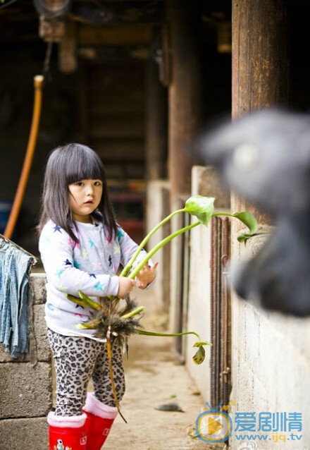 王诗龄写真
 王诗龄高清写真_王诗龄高清剧照