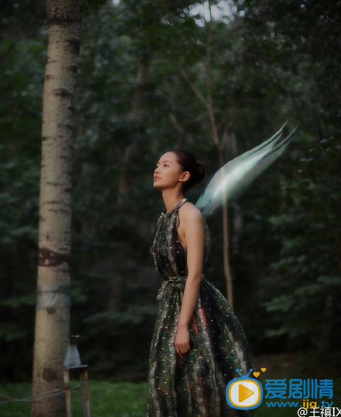 王禛写真
 王禛高清写真_王禛高清剧照