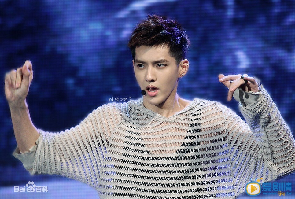 吴亦凡演唱会
 吴亦凡高清写真_吴亦凡高清剧照