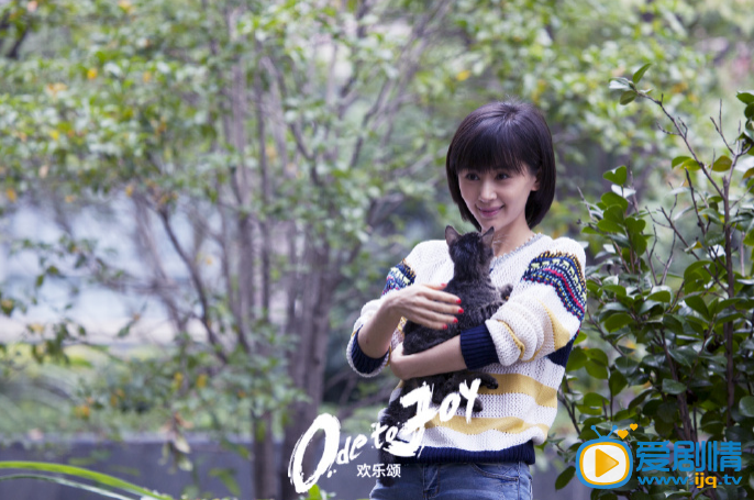 王子文欢乐颂剧照
 王子文高清写真_王子文高清剧照