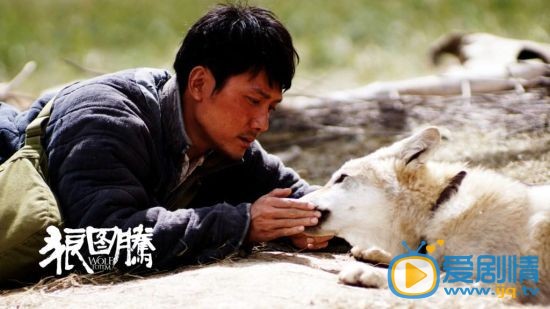 冯绍峰《狼图腾》剧照
 冯绍峰高清写真_冯绍峰高清剧照