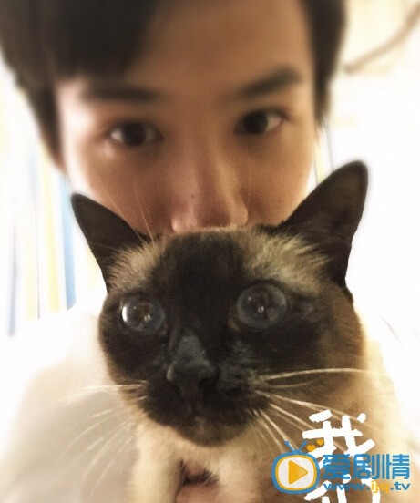 郑业成生活照
 郑业成高清写真_郑业成高清剧照