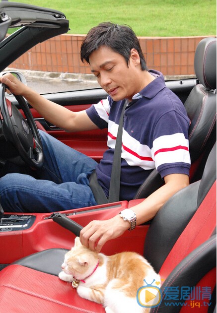 罗嘉良写真
 罗嘉良高清写真_罗嘉良高清剧照
