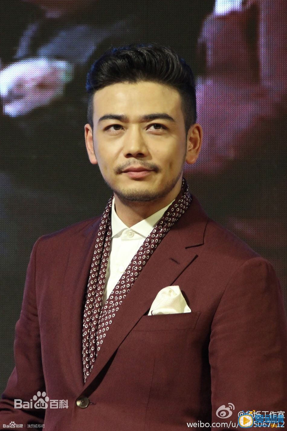 杨烁活动照
 杨烁高清写真_杨烁高清剧照