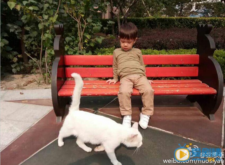 霍思燕儿子超萌照片
 霍思燕高清写真_霍思燕高清剧照