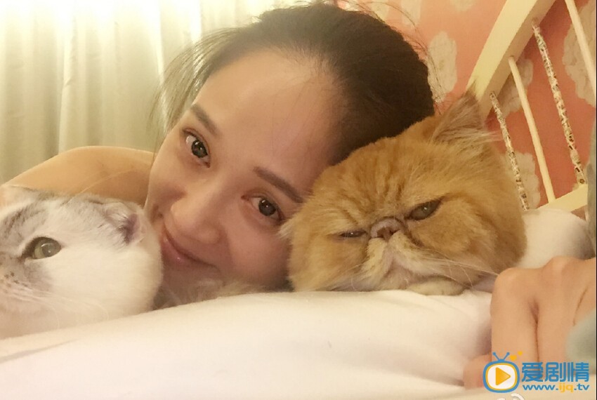 陈乔恩和猫合影照
 陈乔恩高清写真_陈乔恩高清剧照