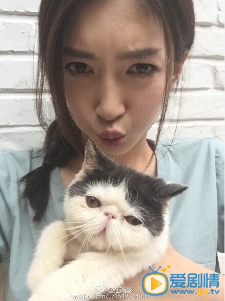 江疏影和猫合影照
 江疏影高清写真_江疏影高清剧照