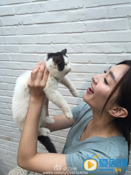 江疏影和猫合影照
 江疏影高清写真_江疏影高清剧照