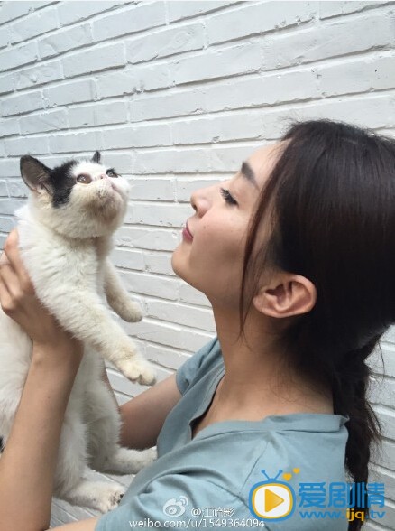 江疏影和猫合影照
 江疏影高清写真_江疏影高清剧照